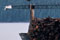 thumb3