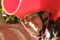 thumb5