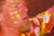 thumb4