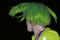 thumb1