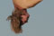 thumb4