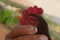 thumb3